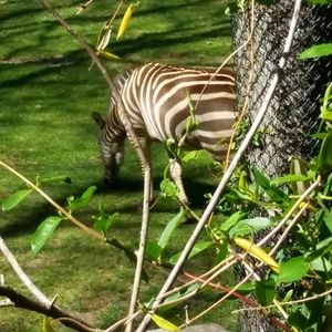 Meet your Posher, Sharonda